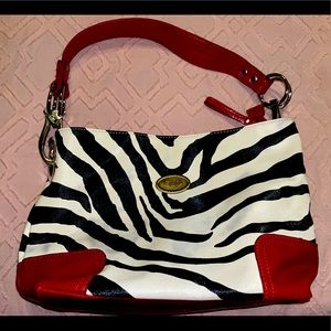 Dolce & Gabbana Zebra Print Pattern